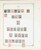 Lot 1004 (257)