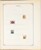 Lot 1004 (338)