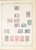 Lot 1004 (499)