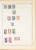 Lot 1004 (582)