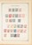 Lot 1004 (585)