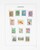 Kavel 1262 (116)