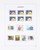 Kavel 1262 (160)