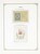 Kavel 1287 (297)