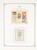 Kavel 1287 (300)