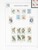 Kavel 1344 (125)