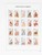 Kavel 1344 (171)
