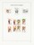Kavel 1344 (243)