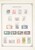 Kavel 1121 (141)