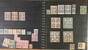 Lot 1288 (44)