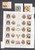 Kavel 1034 (1011)