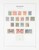 Lot 1202 (10)