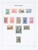 Lot 1087 (34)