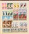 Kavel 1704 (34)