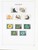 Kavel 1199 (137)