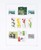 Kavel 1308 (127)