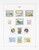 Kavel 1249 (114)