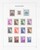 Lot 1079 (37)