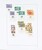 Kavel 1246 (43)