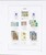 Kavel 1246 (97)