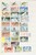 Lot 1333 (12)