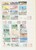 Lot 1333 (33)