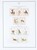 Lot 1272 (82)