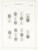 Kavel 1182 (23)