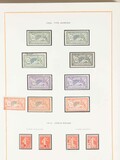 Lot 1145