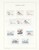 Kavel 1305 (75)