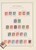Kavel 1529 (204)