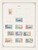 Lot 1270 (113)