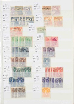 Lot 1041
