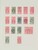 Lot 1323 (80)