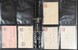 Lot 2444 (2)