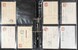Lot 2444 (5)