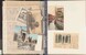 Lot 1429 (11)