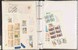 Lot 1429 (25)