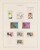 Kavel 1539 (35)