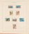 Kavel 1539 (51)