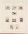 Kavel 1539 (196)