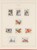 Kavel 1539 (214)