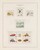 Kavel 1539 (334)