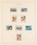 Kavel 1539 (755)