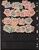 Lot 1239 (5)