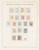 Lot 2557 (11)