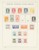 Lot 2557 (19)
