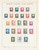 Lot 2557 (55)
