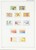 Kavel 2661 (75)