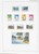 Kavel 2661 (84)